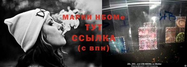дмт Елабуга