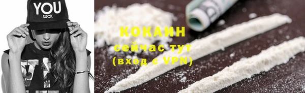 дурь Заводоуковск