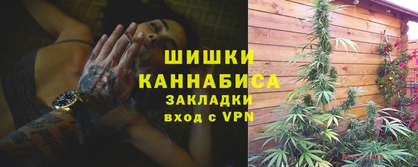 дурь Заводоуковск