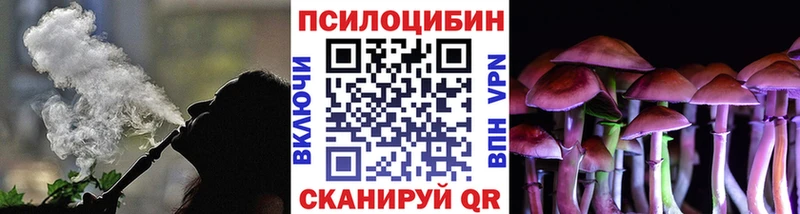 Галлюциногенные грибы MAGIC MUSHROOMS  как найти наркотики  Зеленогорск 